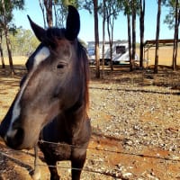 Photo by My Rig Adventures