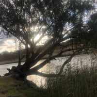 Photo by Amanda Jain Hornett