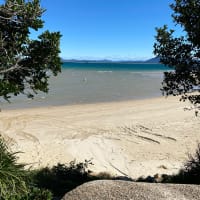 Photo by Celeste and Dan