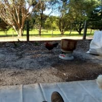 Photo by Colin van den Hoff