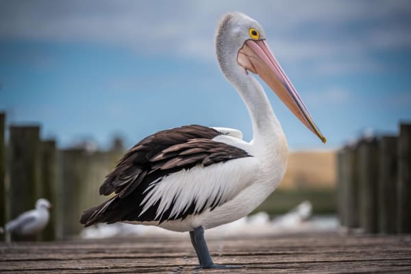 Photo by Chris Titan Topher