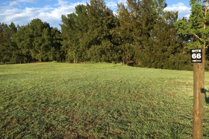 Photo by Percy’s P.