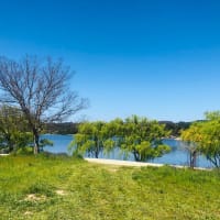 Photo by Nott Chutima Phayungporn