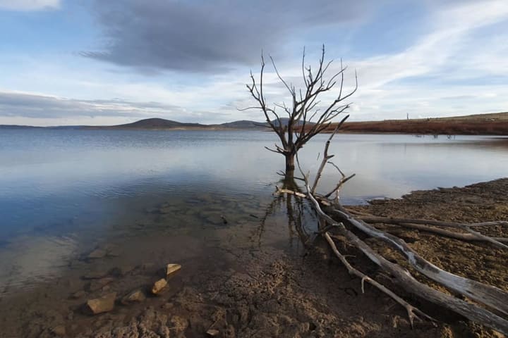 Photo by Eddy & Kathy Tiemens