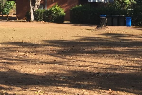 Photo by Kim & Shane