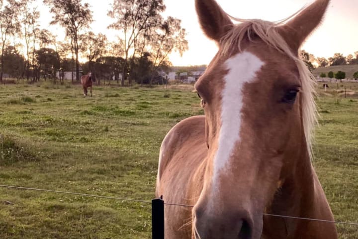 Photo by Barry and Di O'Connor