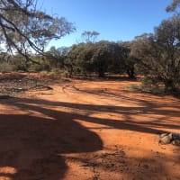 Photo by Billie-jade S.