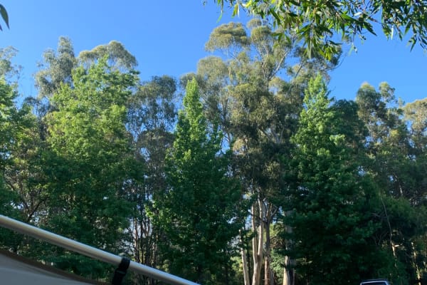 Photo by Deon Rizwan De Silva