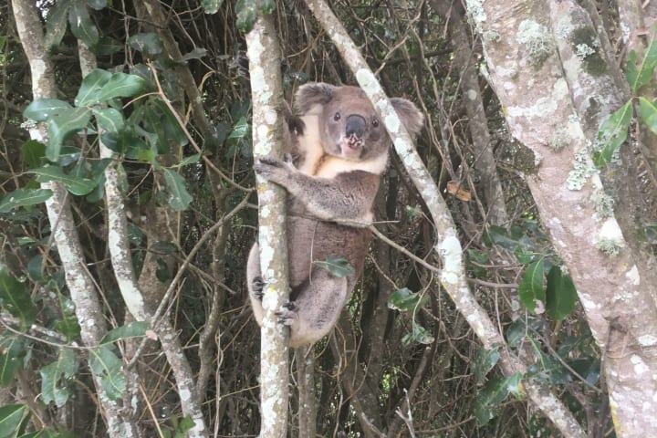 Photo by Michelle G.