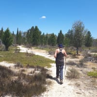 Photo by Kristine B.