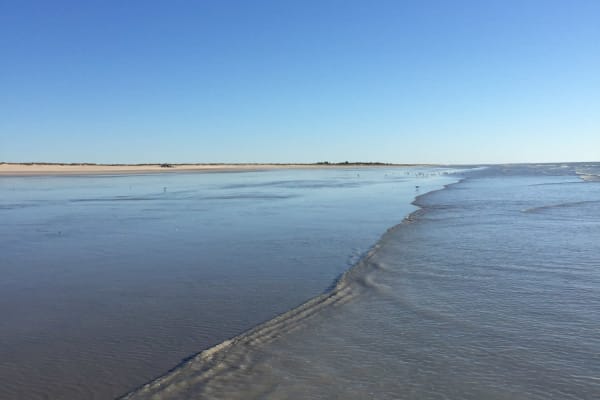 Photo by Kim & Shane