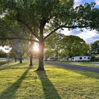 Photo by Elizabeth S.