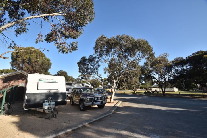 Photo by deborah and Mark robertson managers of Highview holiday Village in Ardrossan