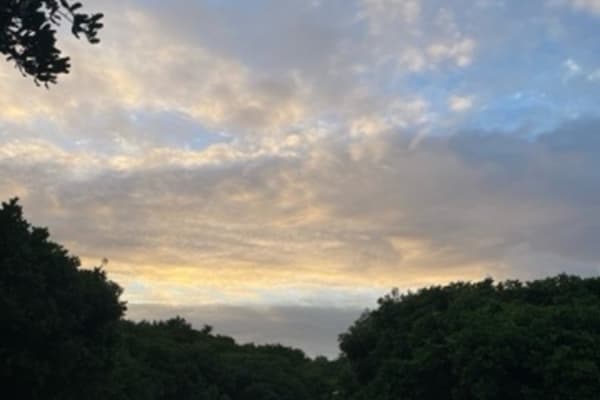 Photo by Ben + Elana