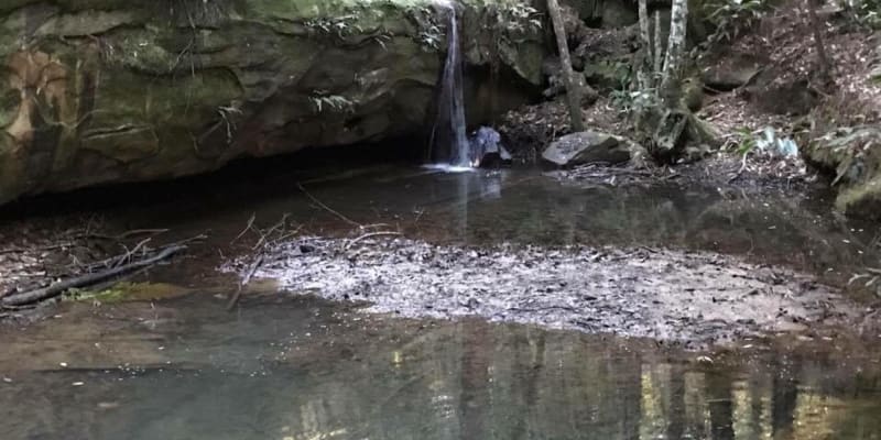 Photo by Jodie Roadster Campny