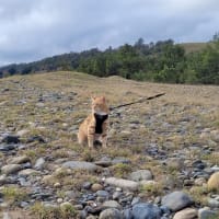 Photo by Sanchia Keeleigh Gray