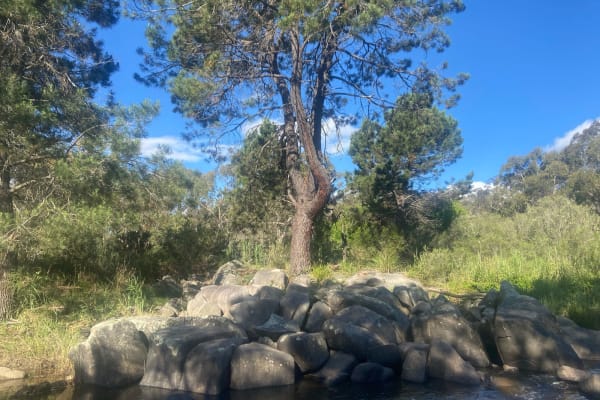 Photo by Stephanie K.