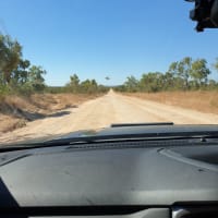 Photo by CATHERINE H.