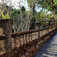 Photo by My Rig Adventures