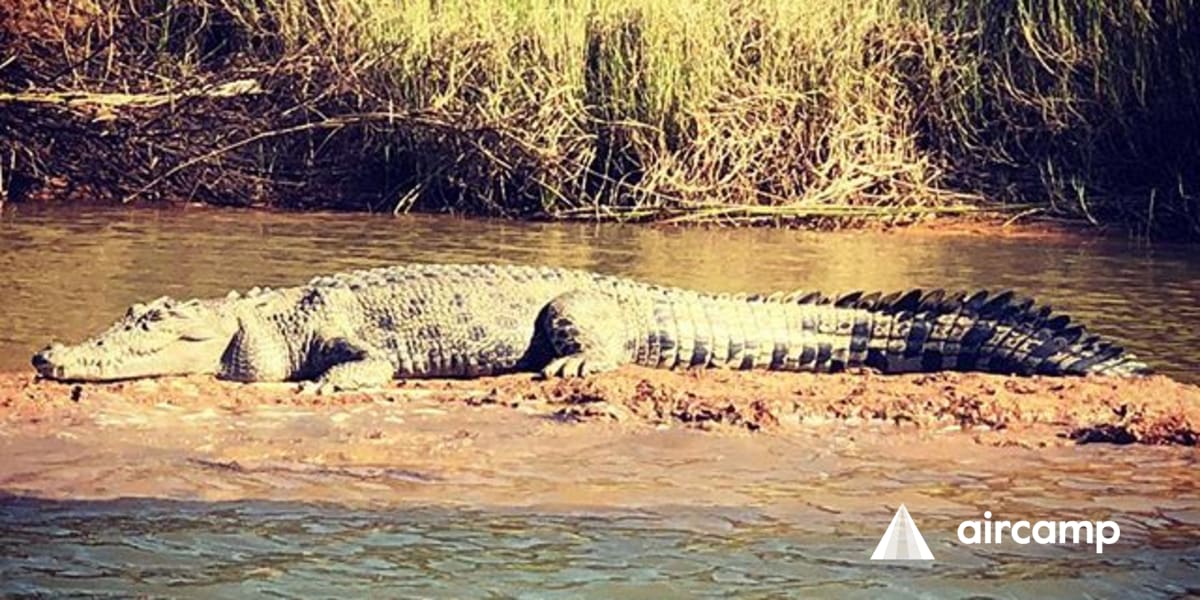 King Ash Bay Anycamp