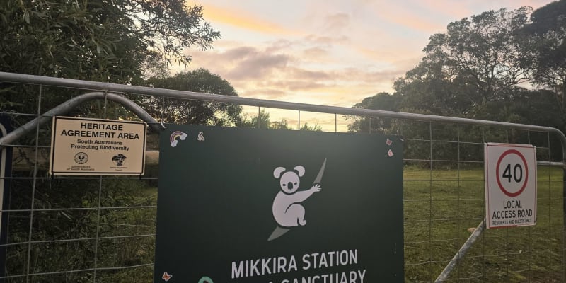 Photo by Helen de la Perrelle