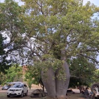 Photo by Christina P.