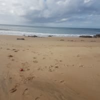 Photo by Anycamp user