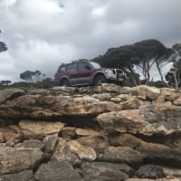 Photo by Michelle C.