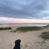 Photo by Celeste and Dan