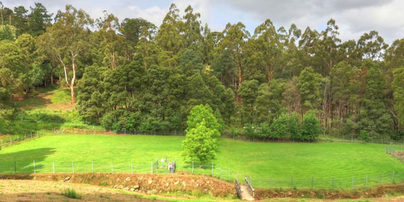 Photo by [deleted user]