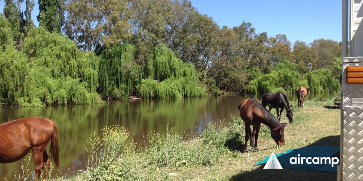 Bingara Riverside Camping Area