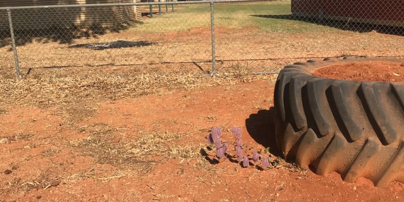 Photo by Dannielle Marion Davey Brogan