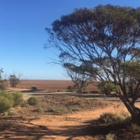 Photo by YoungAdventuresAust