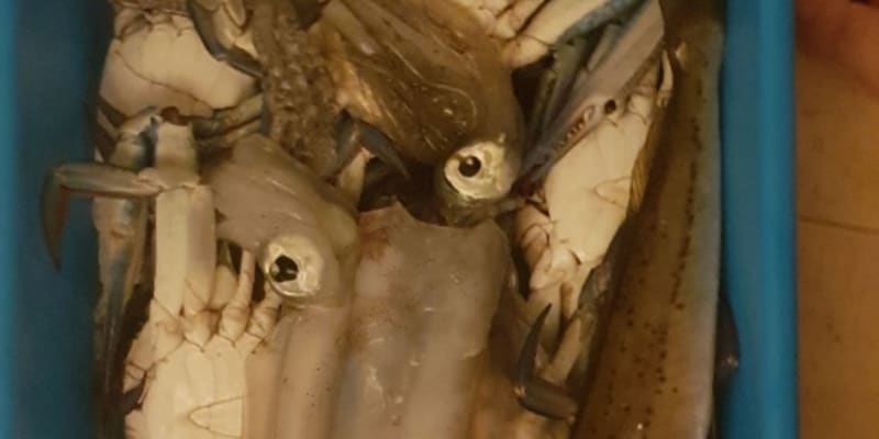 Photo by Yvette & Gavin Bright