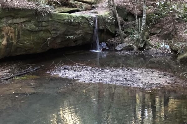 Photo by Jodie Roadster Campny