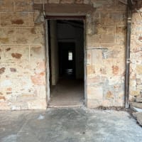 Photo by Samantha B.