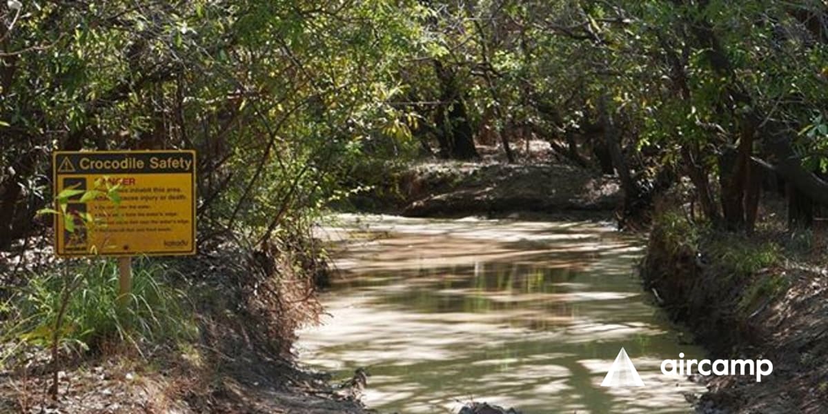 Alligator Billabong
