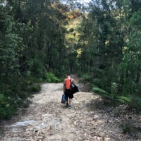 Photo by Samantha C.