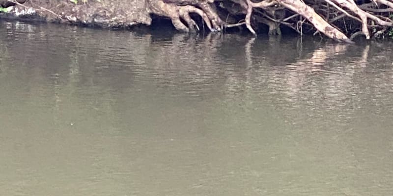 Photo by Phillip  Styles