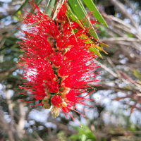 Photo by Sanchia Keeleigh Gray