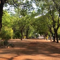 Photo by Wander to Wonder Oz