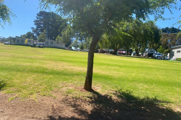 Photo by Ranjeet Singh Gill