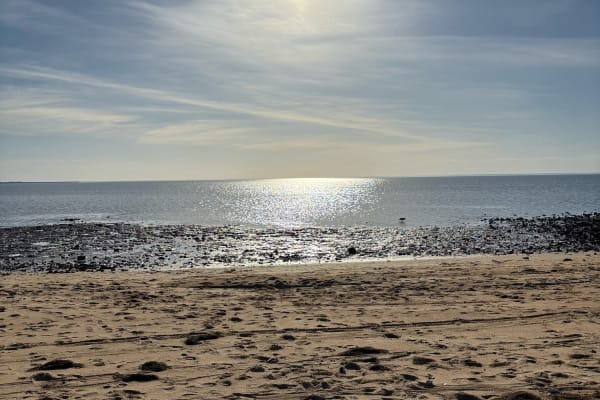 Photo by Jacqueline A.