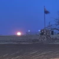 Photo by Michelle S.