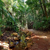 Photo by My Rig Adventures