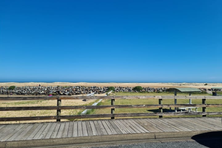 Photo by Michelle S.