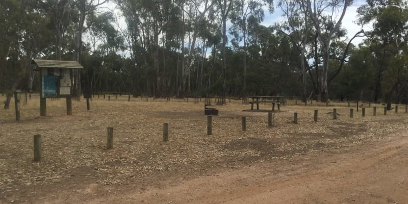 Photo by M + P + 3x dogs