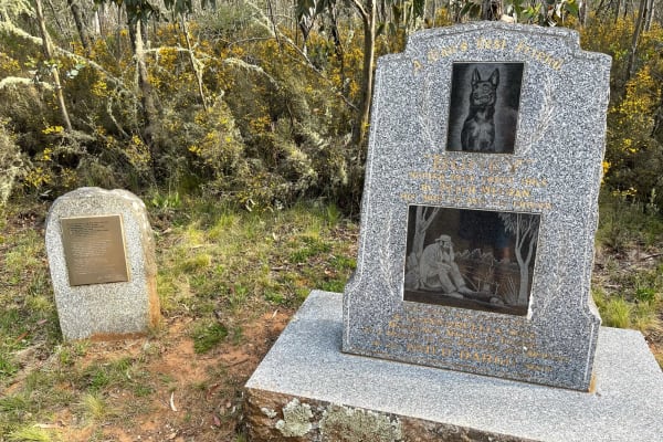 Photo by red truck reviews