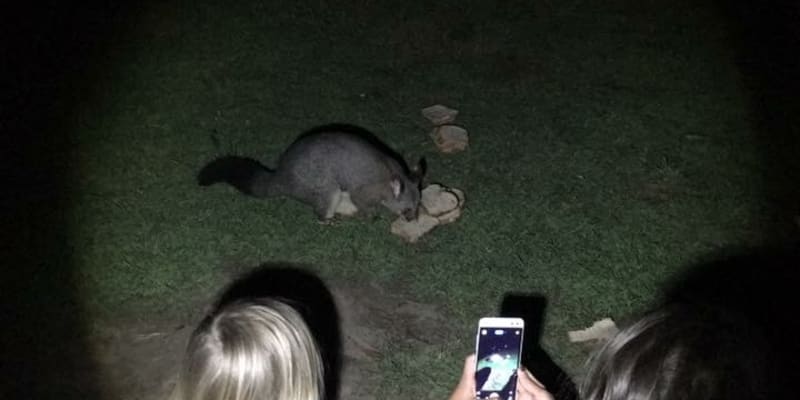 Photo by Tracy N David Ross