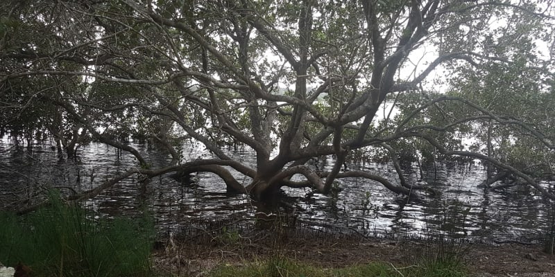 Photo by Adventure A.